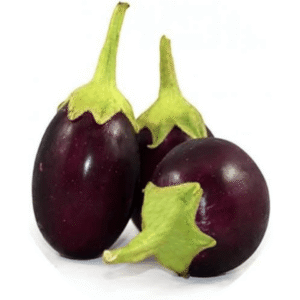 brinjal (बैंगन)