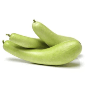 bottle gourd (लौकी)