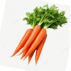 carrot (गाजर)