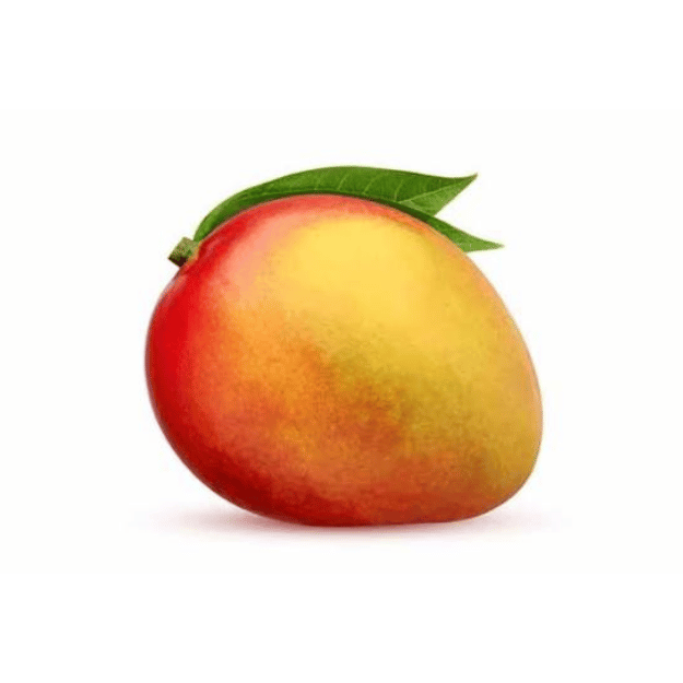 mango (आम) mango (आम)