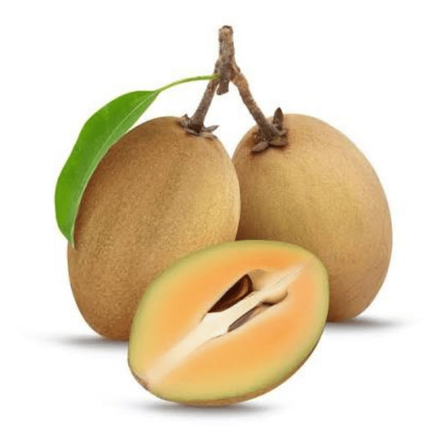 sapota/chikoo (चीकू) sapota/chikoo (चीकू)