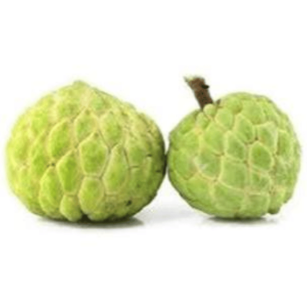 custard apple (सीताफल) custard apple (सीताफल)