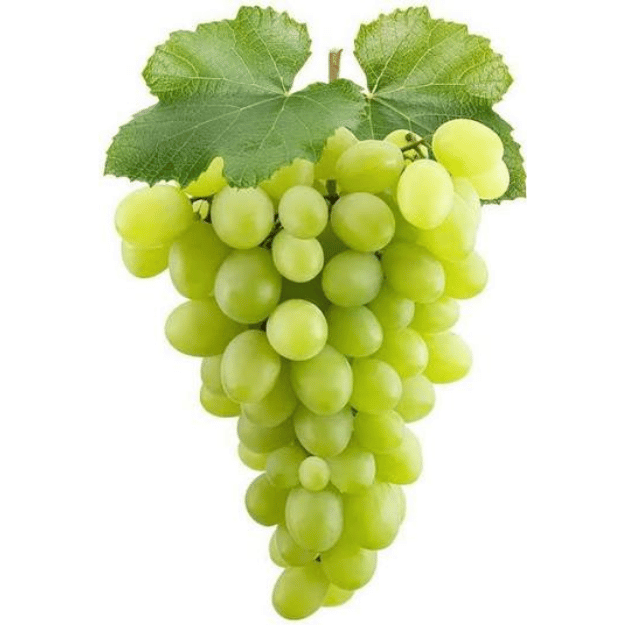 grapes (अंगूर) grapes (अंगूर)