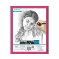 apsara bio practical 26.5x21.5 cm 100 pages notebook 1 n