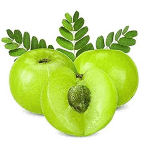 indian gooseberry (आंवला)