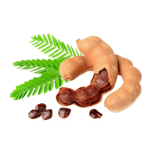 tamarind (इमली)