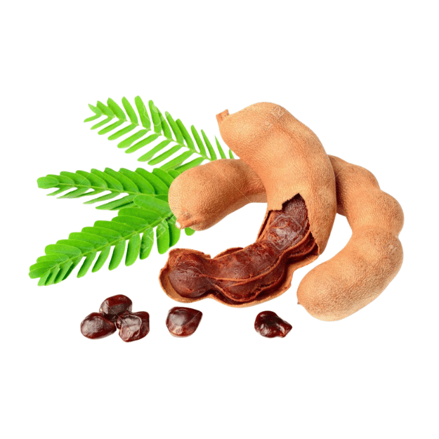 tamarind (इमली) tamarind (इमली)
