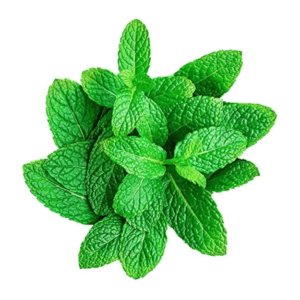 mint leaves (पुदीना)