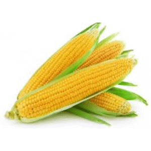 sweet corn (मीठा मक्का)